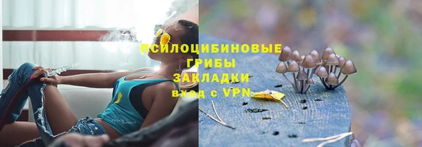 мдпв Зерноград