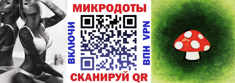 Псилоцибиновые грибы прущие грибы  Купить где  Клинцы 
